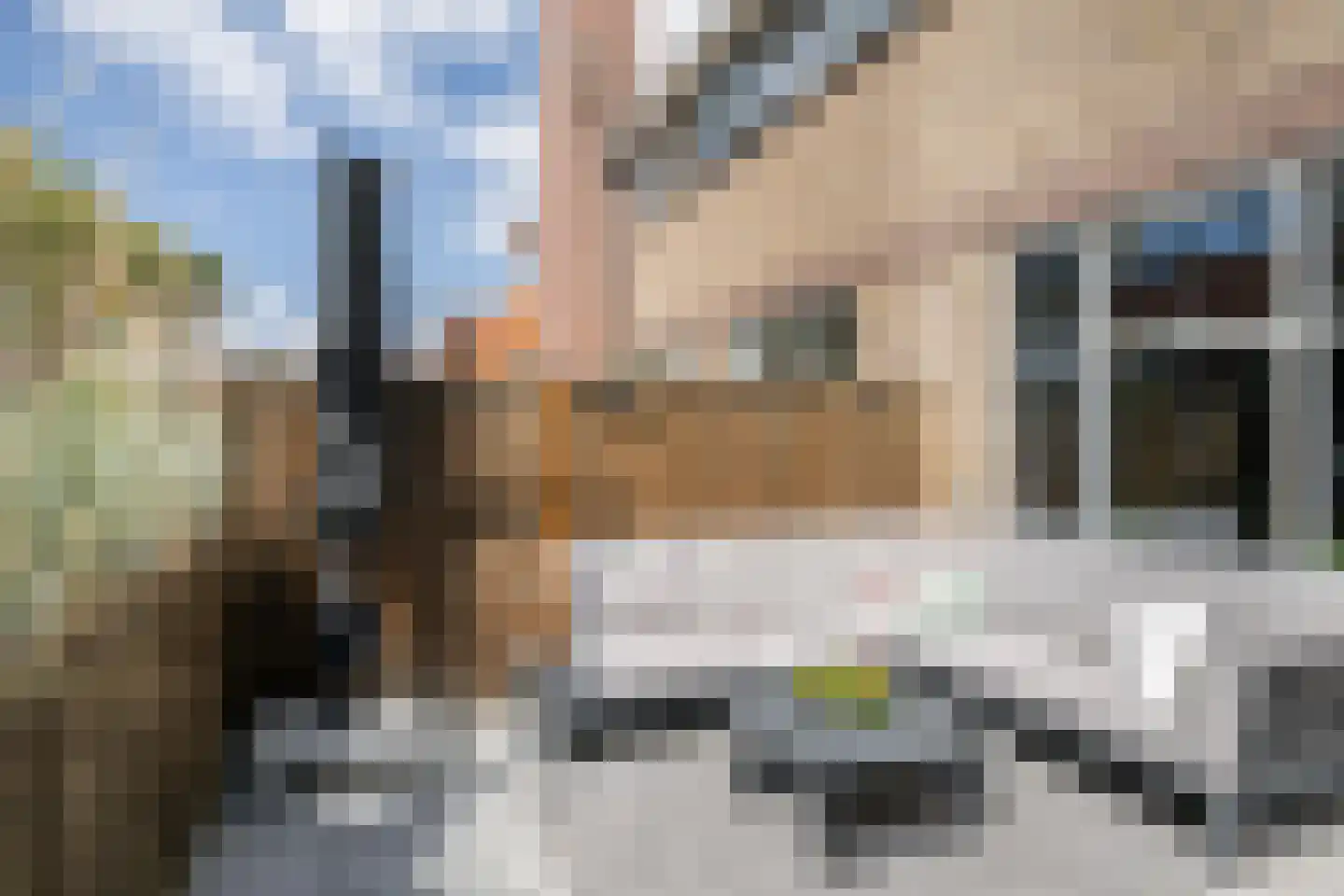 Druivenstraat 68 Naaldwijk thumbnail 33
