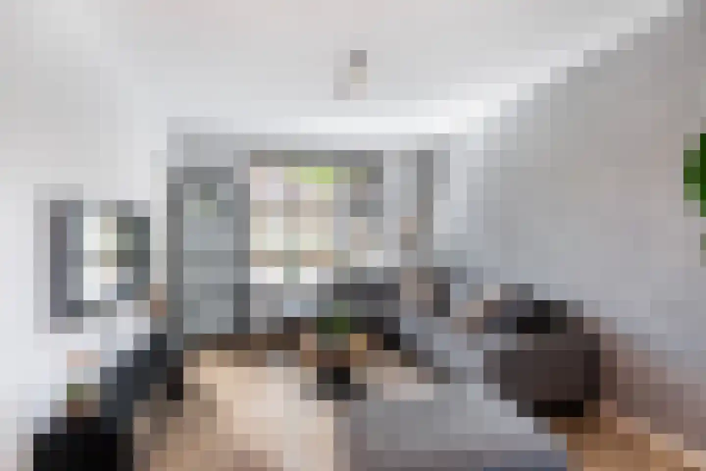 Druivenstraat 68 Naaldwijk thumbnail 4