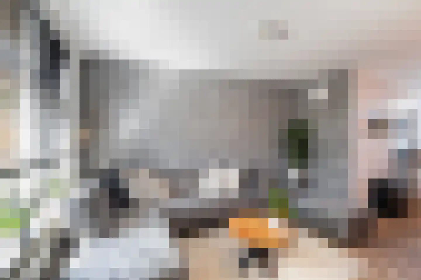 Druivenstraat 68 Naaldwijk thumbnail 5