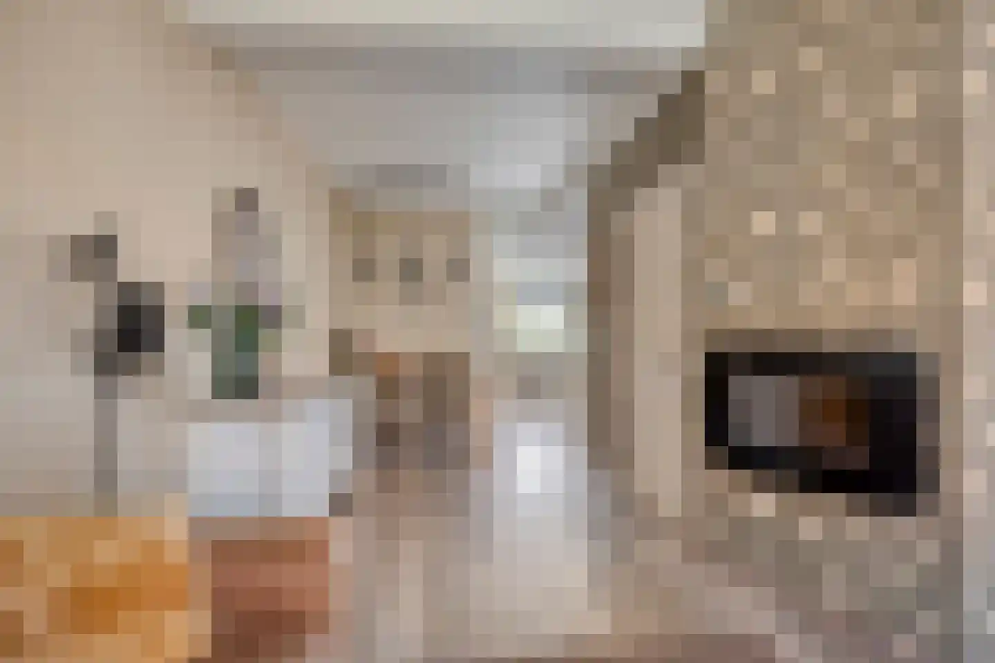 Druivenstraat 69 Naaldwijk thumbnail 11