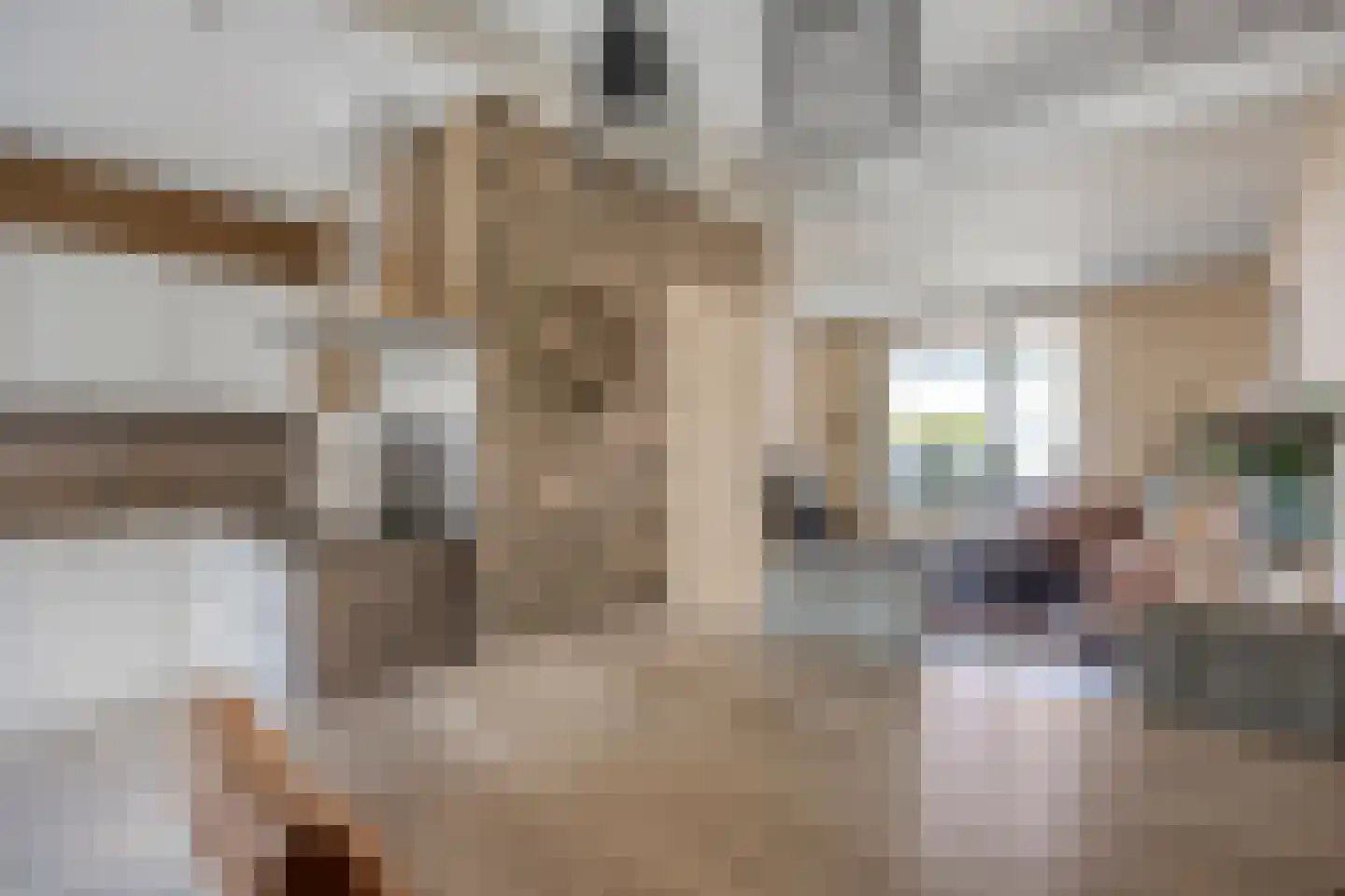 Druivenstraat 69 Naaldwijk thumbnail 14