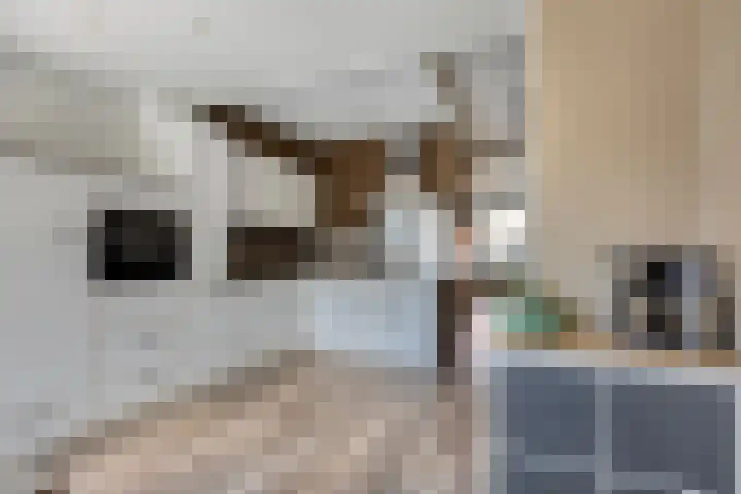 Druivenstraat 69 Naaldwijk thumbnail 15
