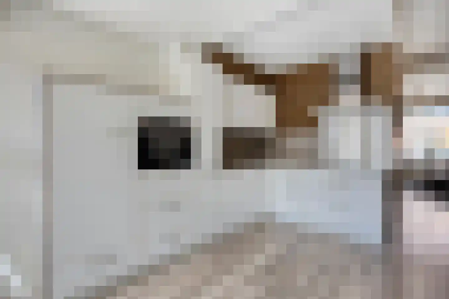 Druivenstraat 69 Naaldwijk thumbnail 16