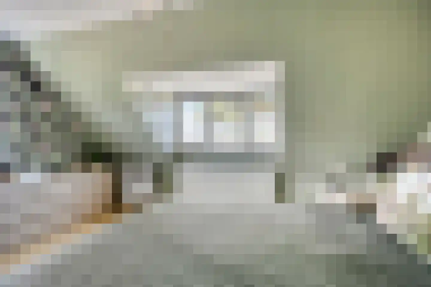 Druivenstraat 69 Naaldwijk thumbnail 23