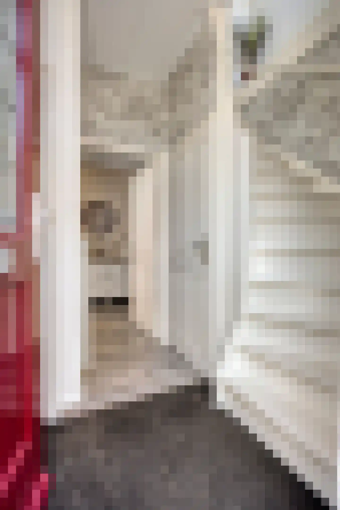 Druivenstraat 69 Naaldwijk thumbnail 7