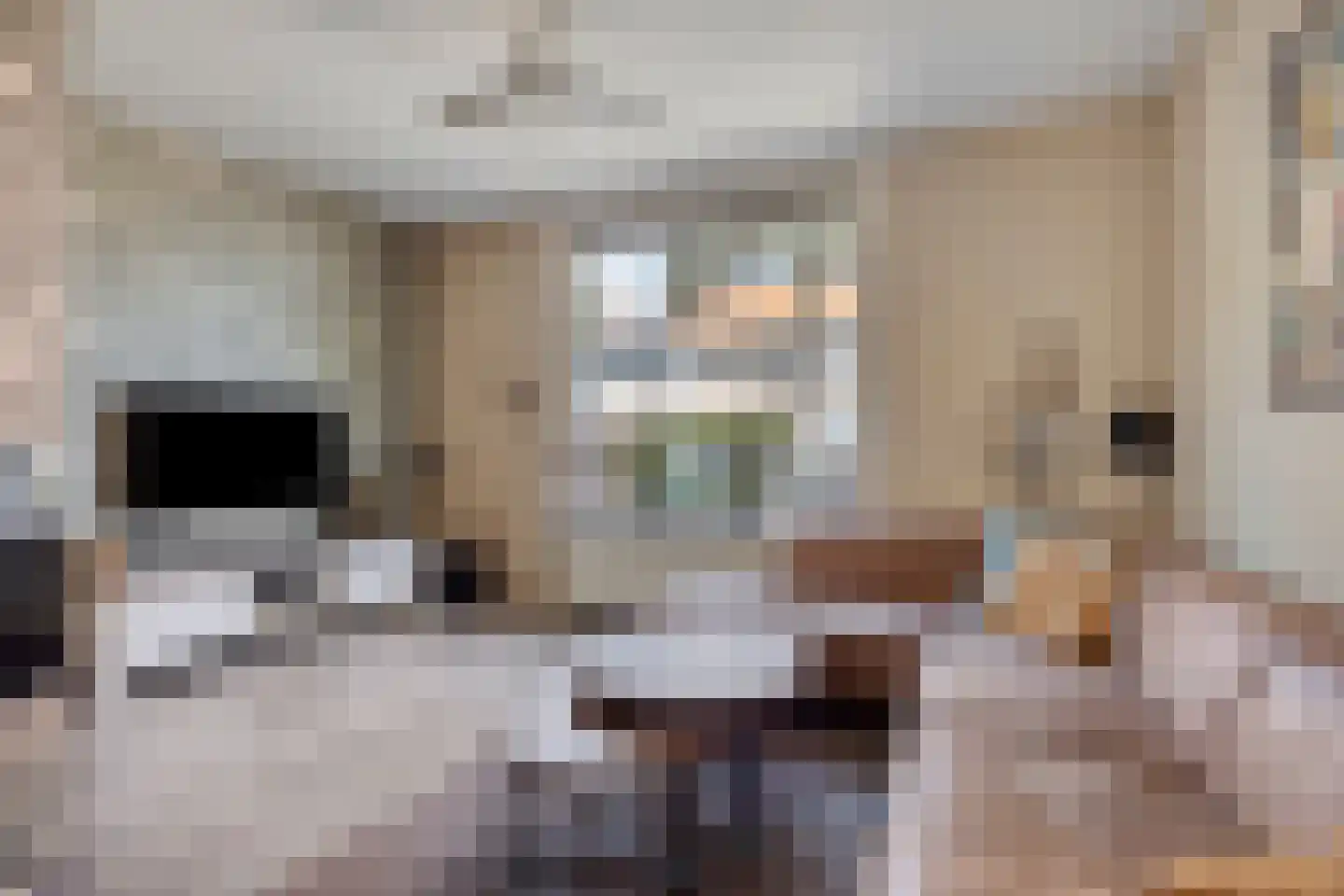 Druivenstraat 69 Naaldwijk thumbnail 8