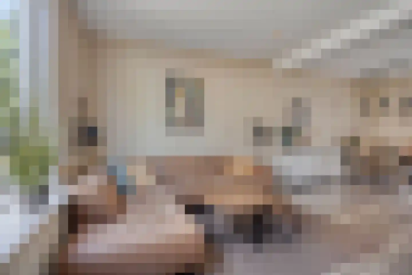 Druivenstraat 69 Naaldwijk thumbnail 9