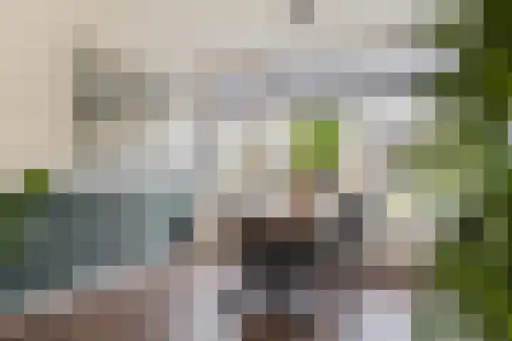 Druivenstraat 8 Naaldwijk thumbnail 13