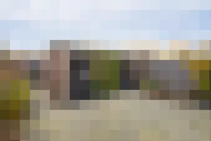 Druivenstraat 8 Naaldwijk thumbnail 19
