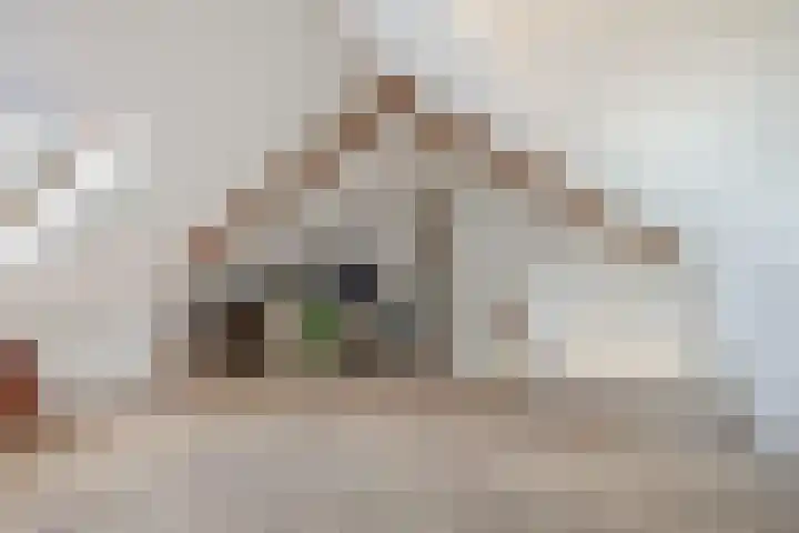 Druivenstraat 8 Naaldwijk thumbnail 33