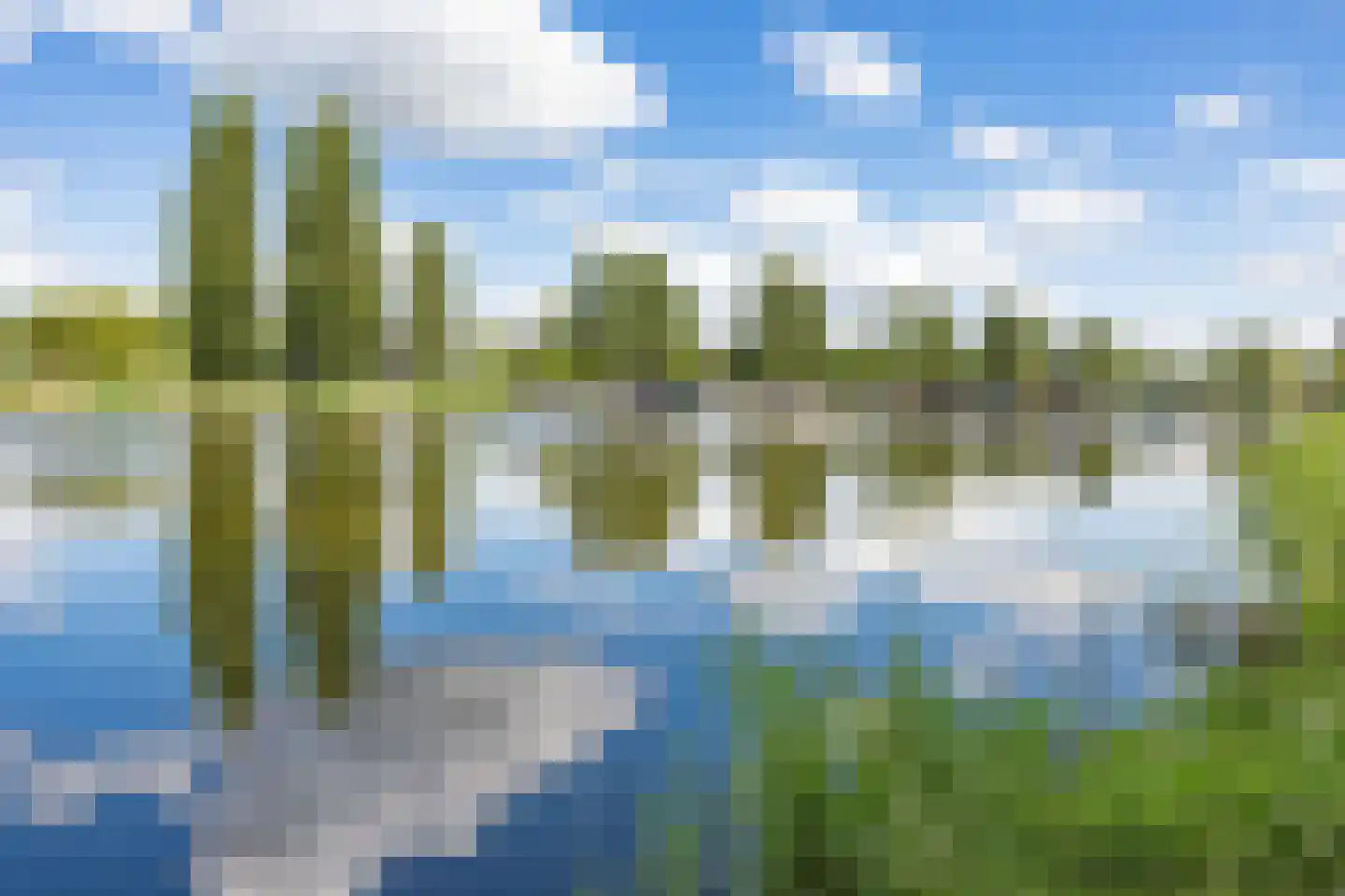 Druivenstraat 9 Almere thumbnail 41