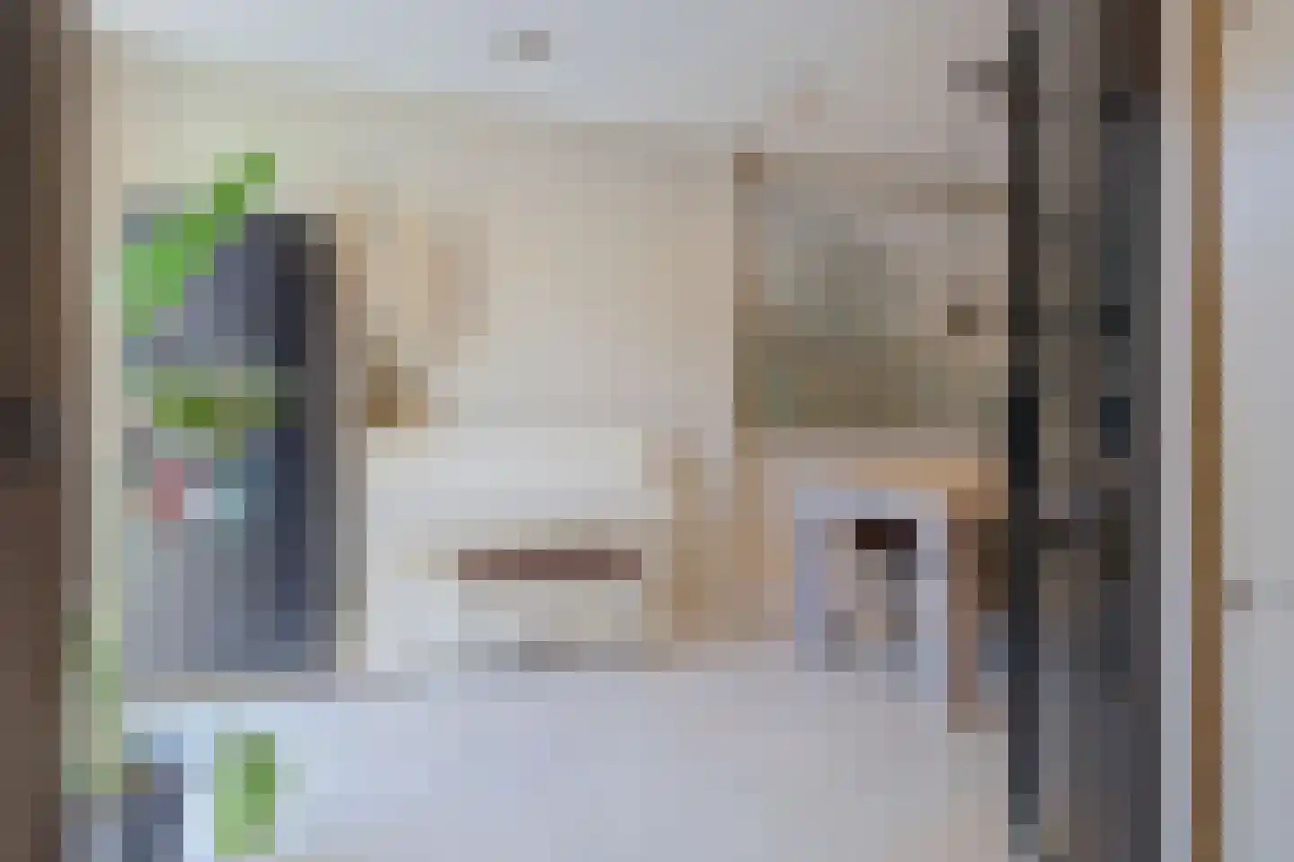 Druivenstraat 9 Naaldwijk thumbnail 15