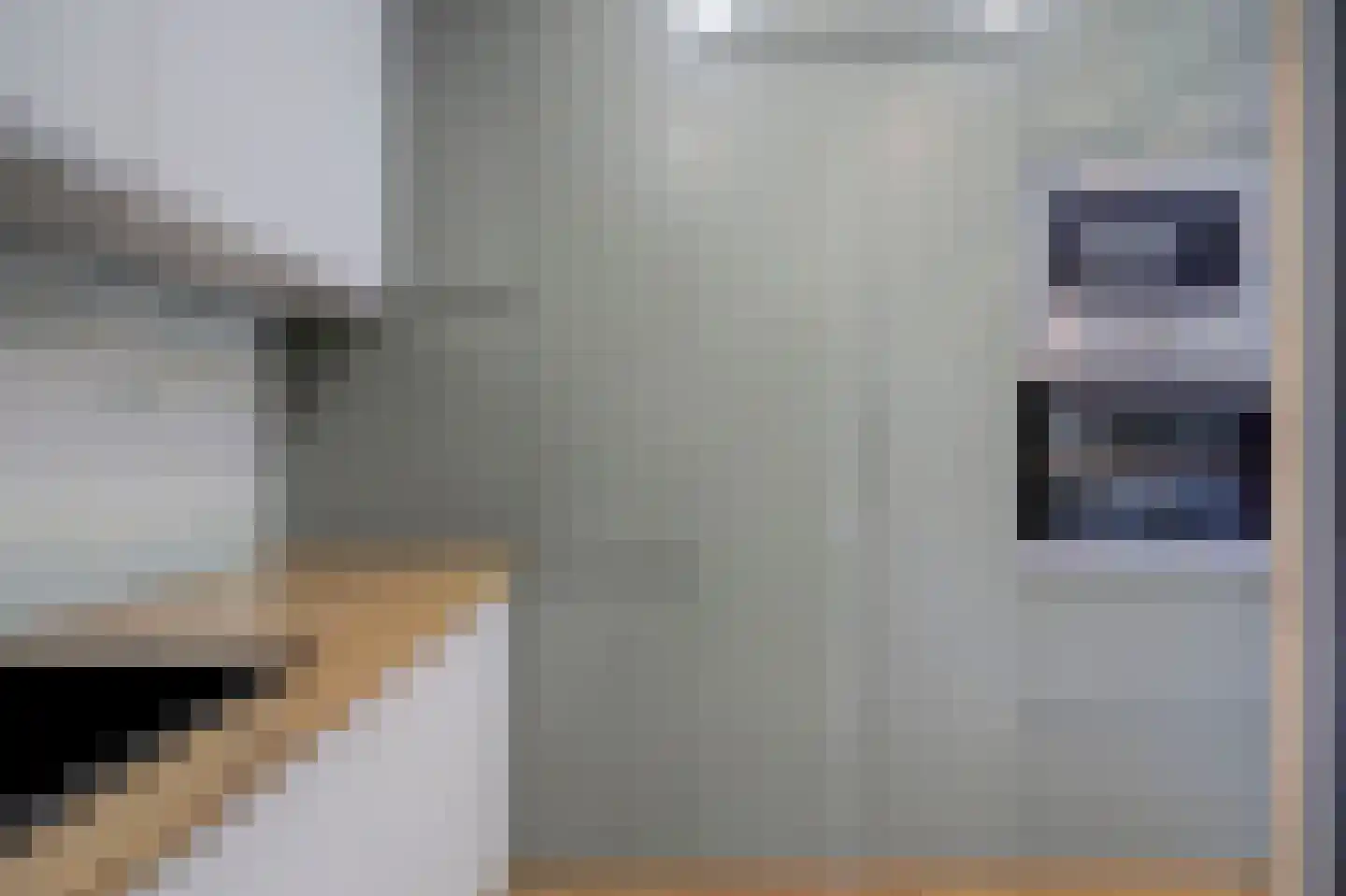 Druivenstraat 9 Naaldwijk thumbnail 18