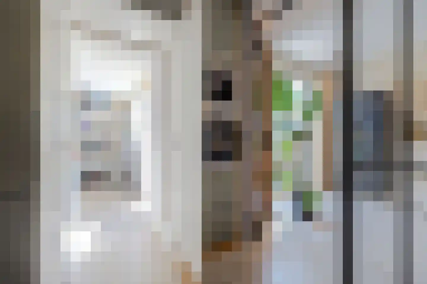 Druivenstraat 9 Naaldwijk thumbnail 20