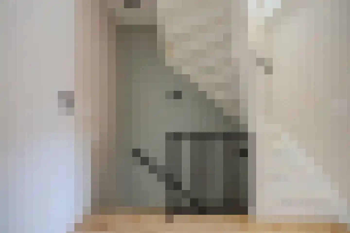 Druivenstraat 9 Naaldwijk thumbnail 22