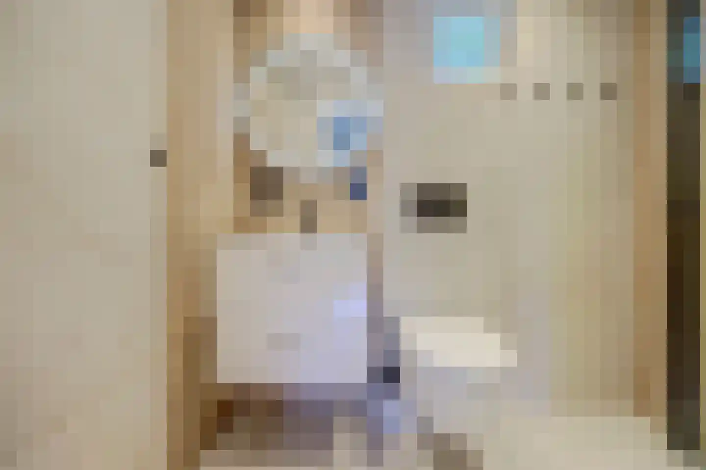 Druivenstraat 9 Naaldwijk thumbnail 32