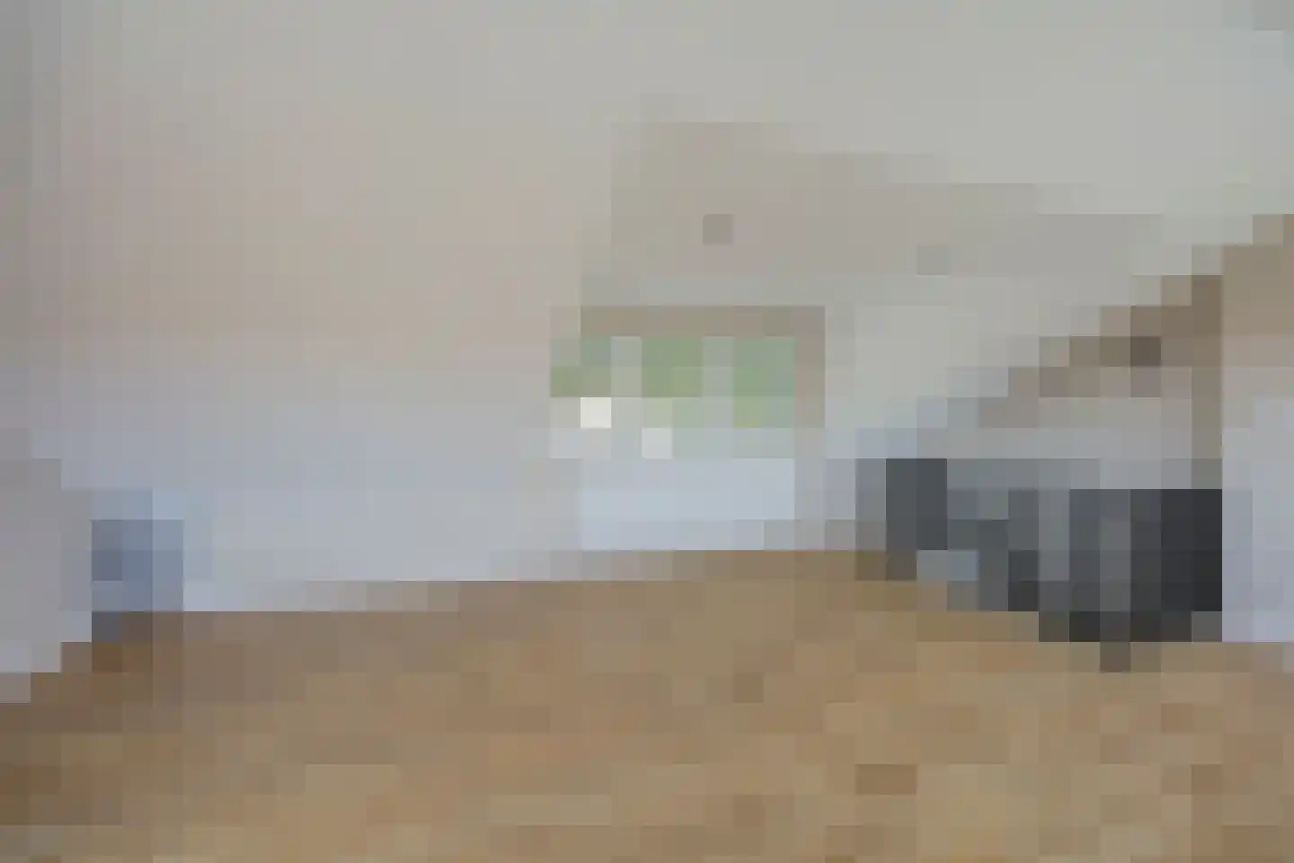 Druivenstraat 9 Naaldwijk thumbnail 34
