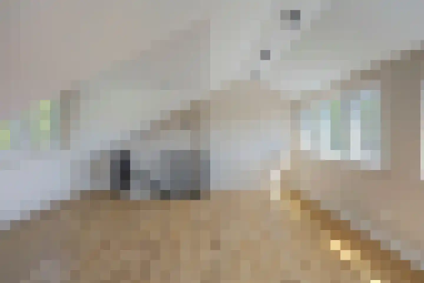 Druivenstraat 9 Naaldwijk thumbnail 37