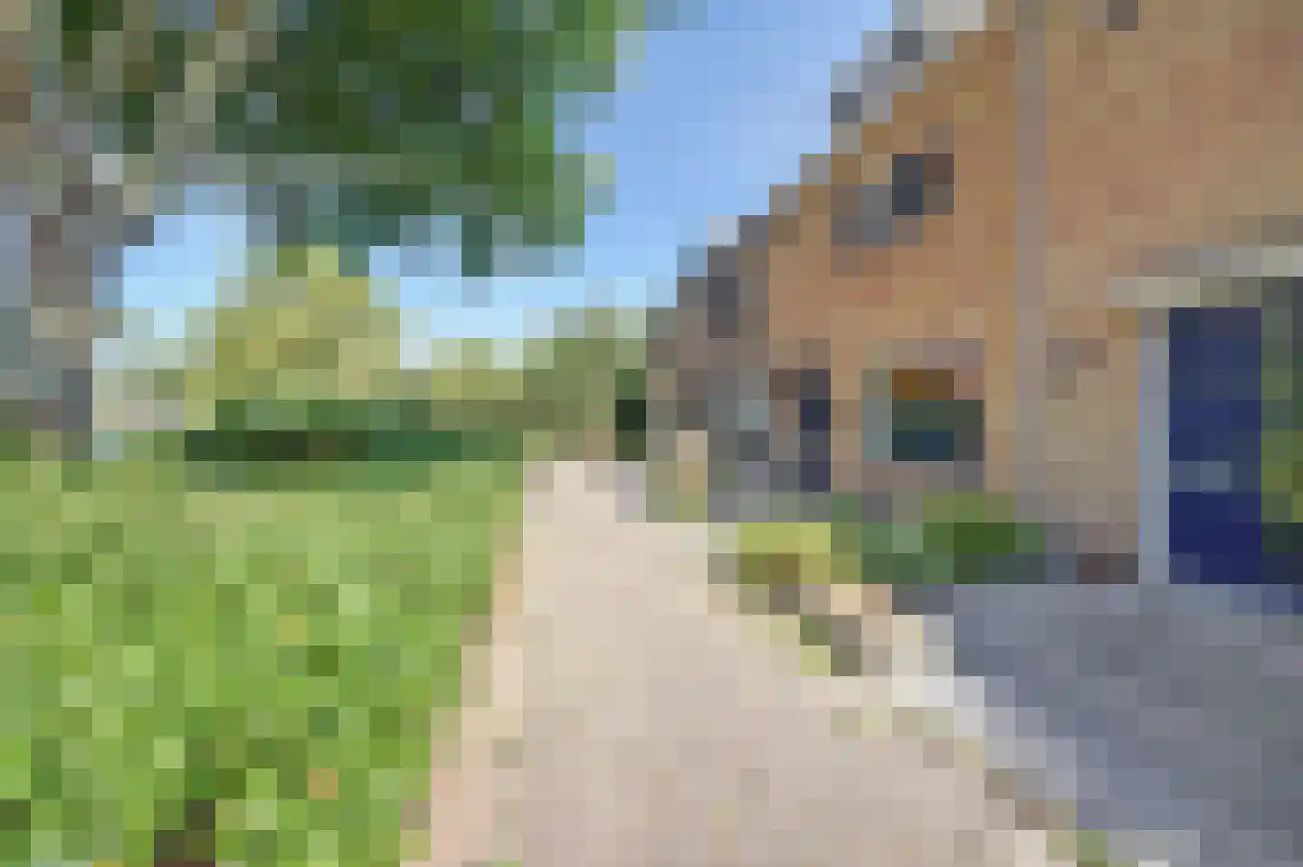 Druivenstraat 9 Naaldwijk thumbnail 44
