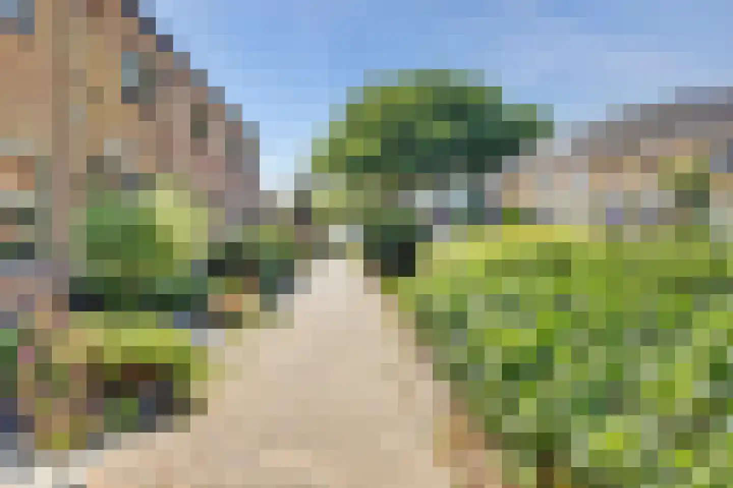Druivenstraat 9 Naaldwijk thumbnail 45