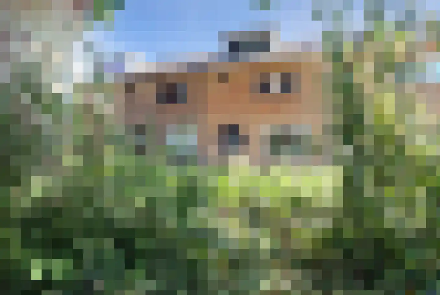 Druivenstraat 9 Naaldwijk thumbnail 47