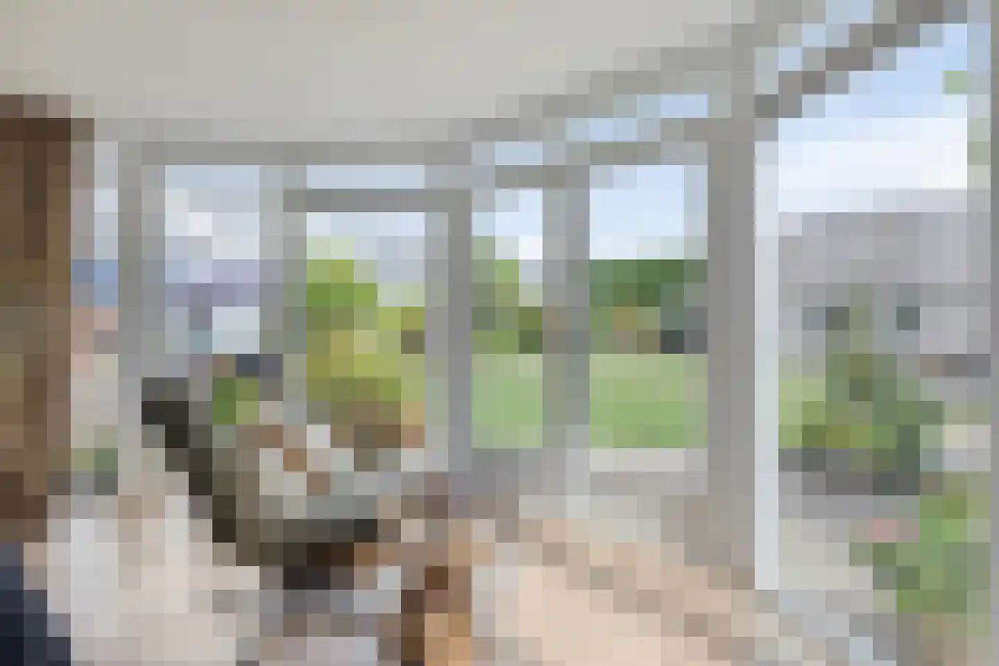 Drukkerij 11 Steenbergen thumbnail 10