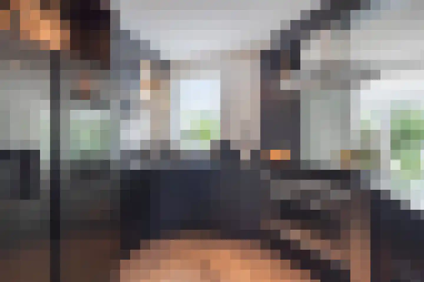 Drukkerij 11 Steenbergen thumbnail 15