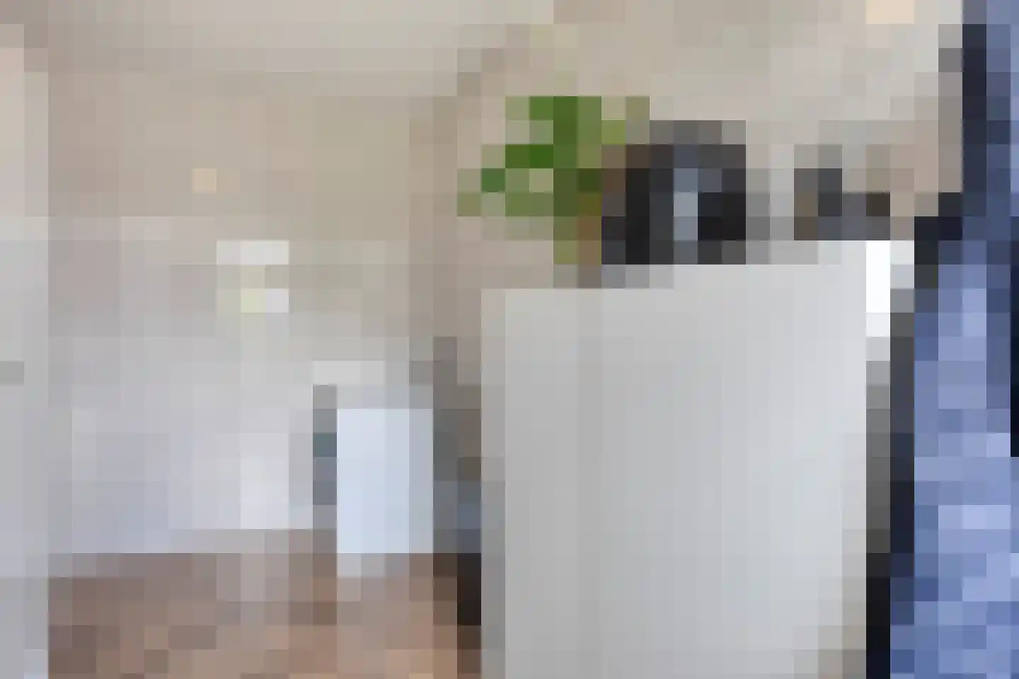 Drukkerij 11 Steenbergen thumbnail 18