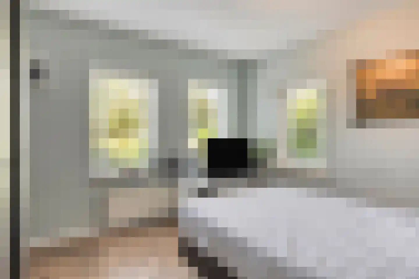 Drukkerij 11 Steenbergen thumbnail 19
