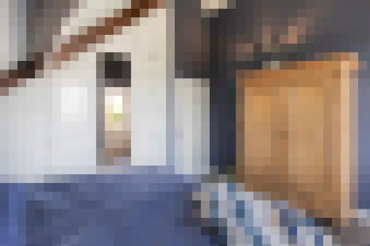 Drukkerij 11 Steenbergen thumbnail 25