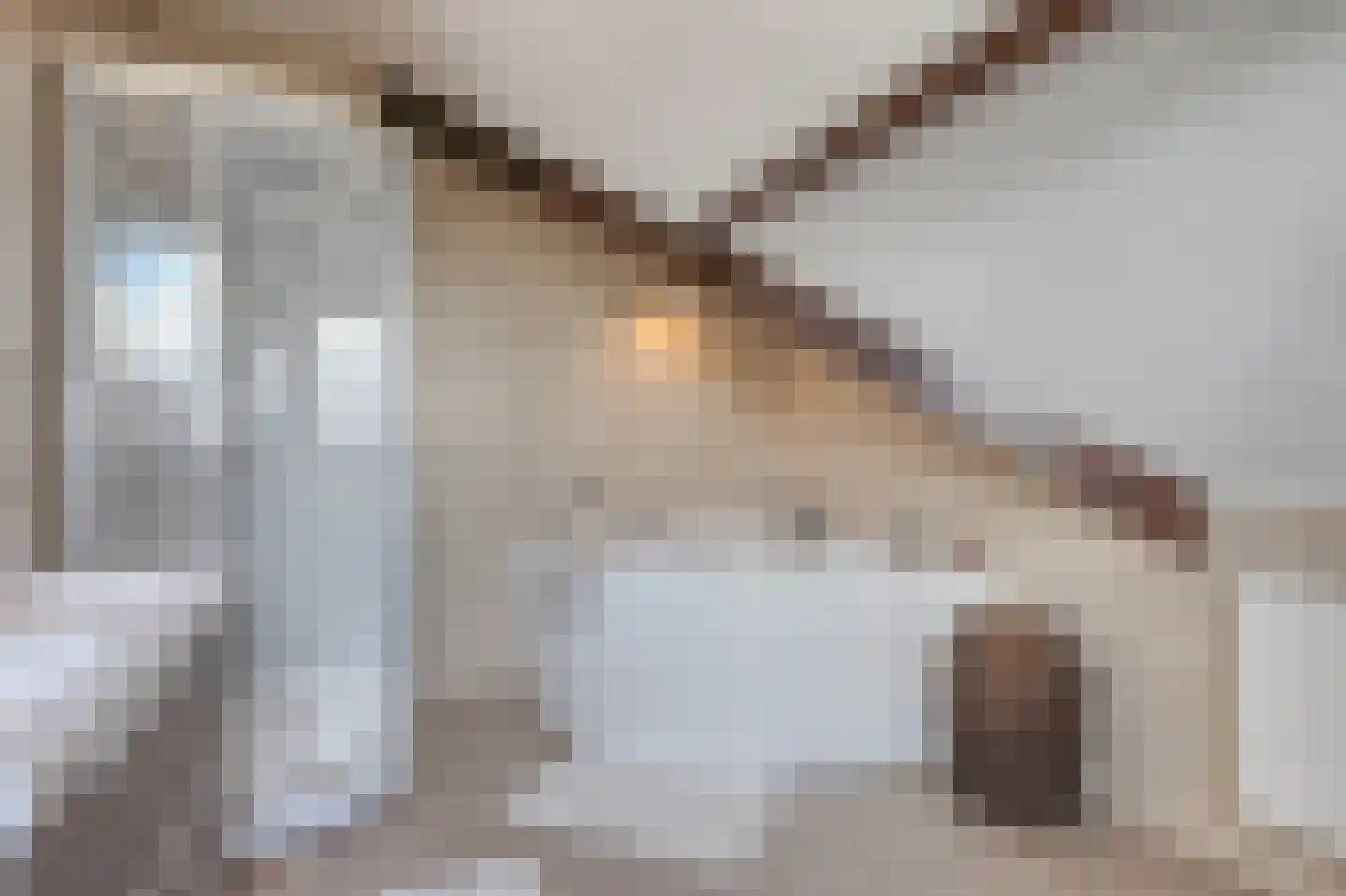 Drukkerij 11 Steenbergen thumbnail 26