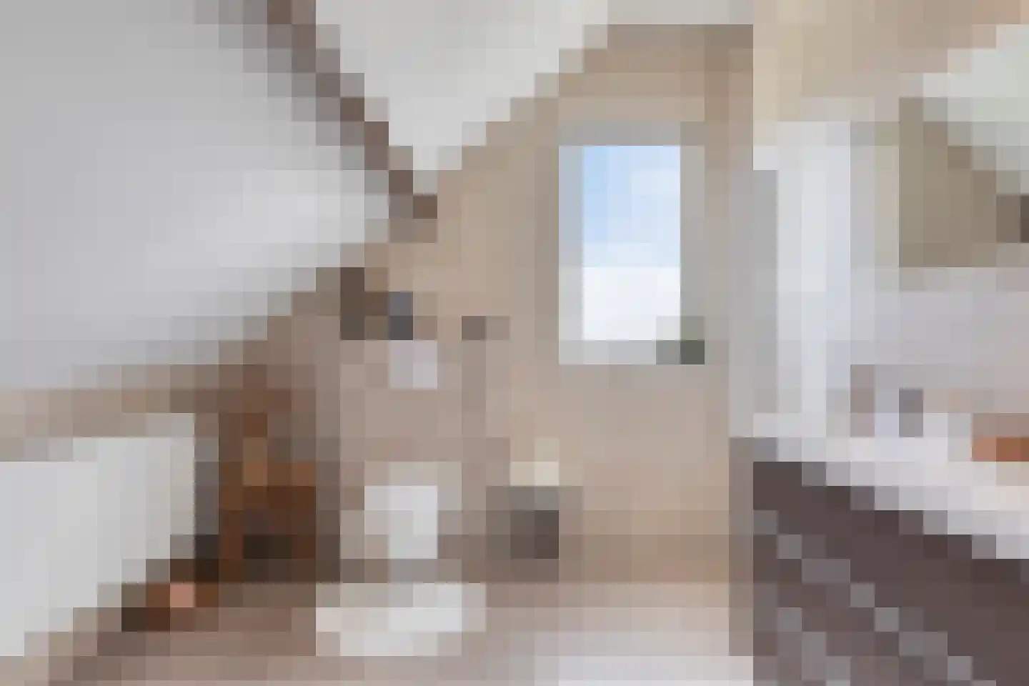 Drukkerij 11 Steenbergen thumbnail 27