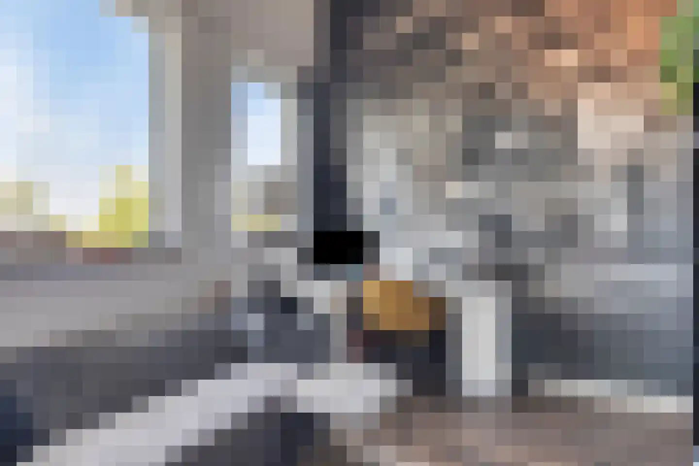 Drukkerij 11 Steenbergen thumbnail 31