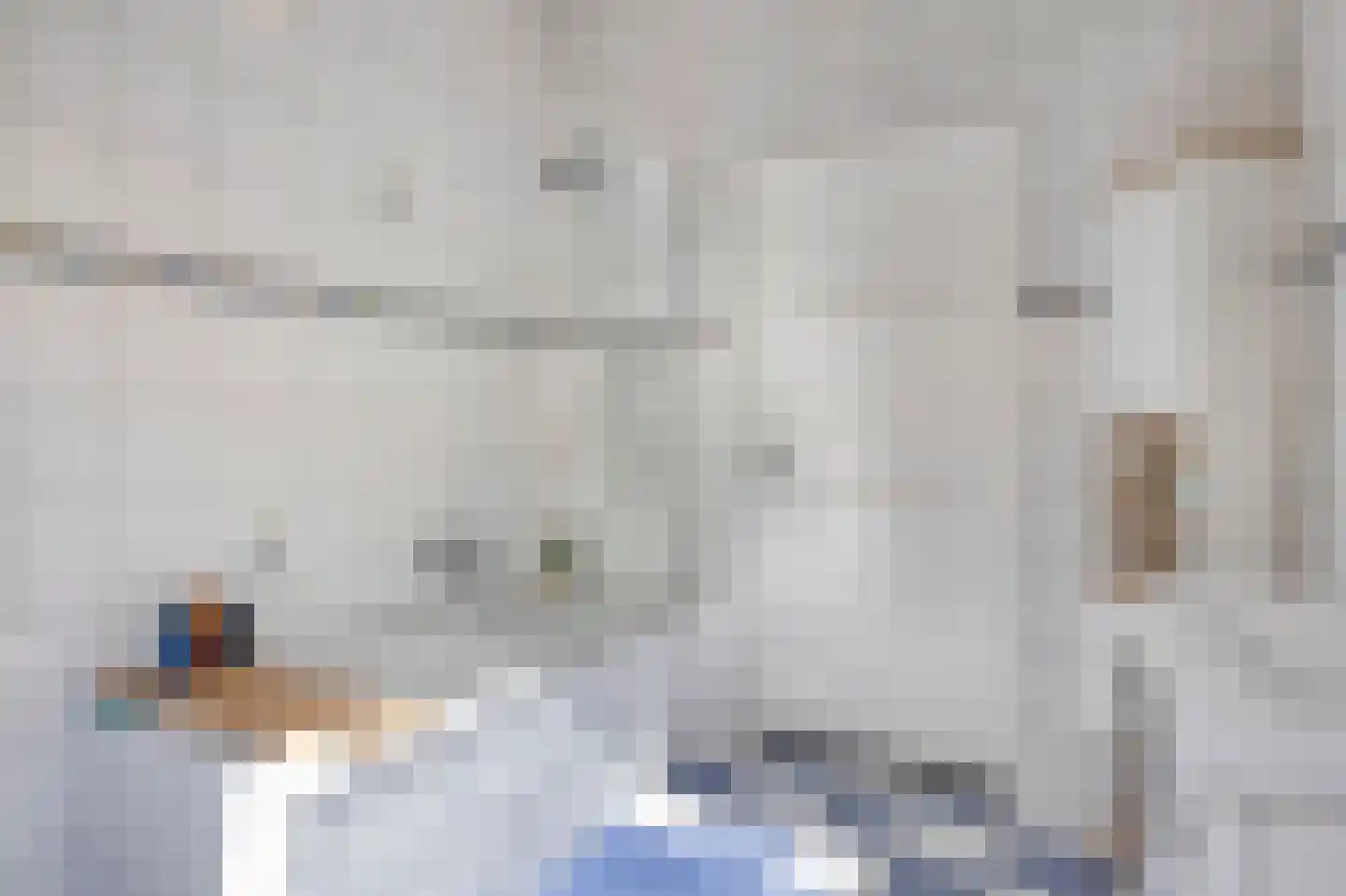 Drukkerij 11 Steenbergen thumbnail 33