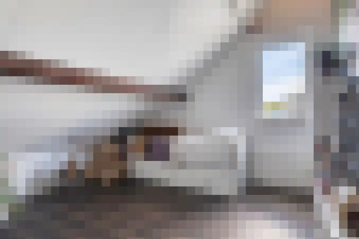 Drukkerij 11 Steenbergen thumbnail 34