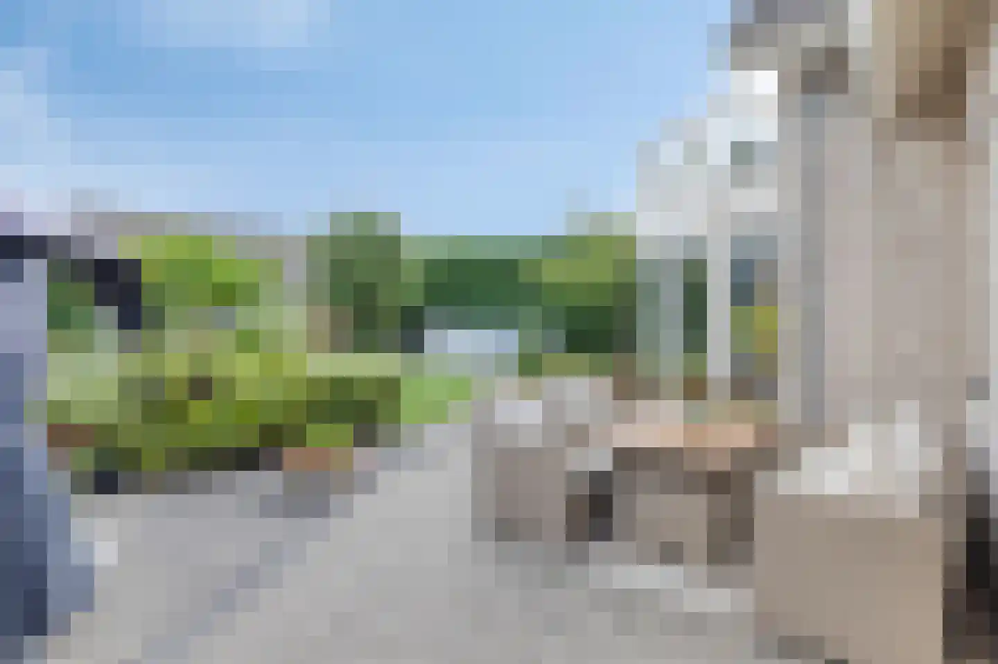 Drukkerij 11 Steenbergen thumbnail 41