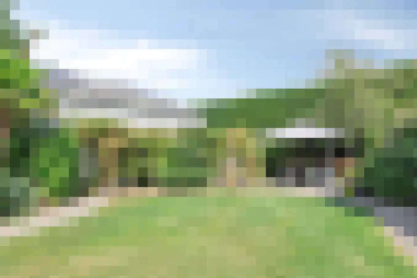 Drukkerij 11 Steenbergen thumbnail 42