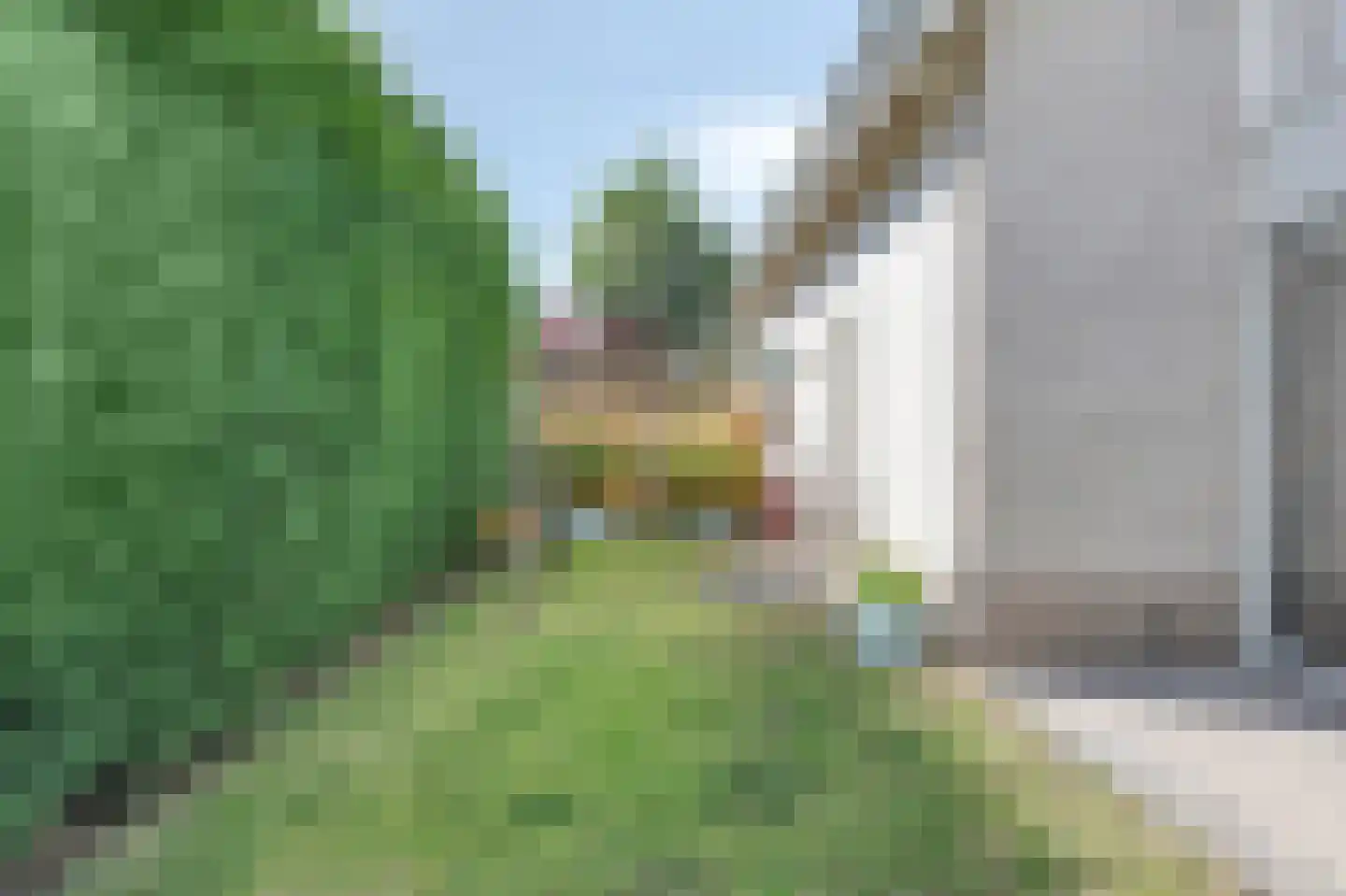 Drukkerij 11 Steenbergen thumbnail 45