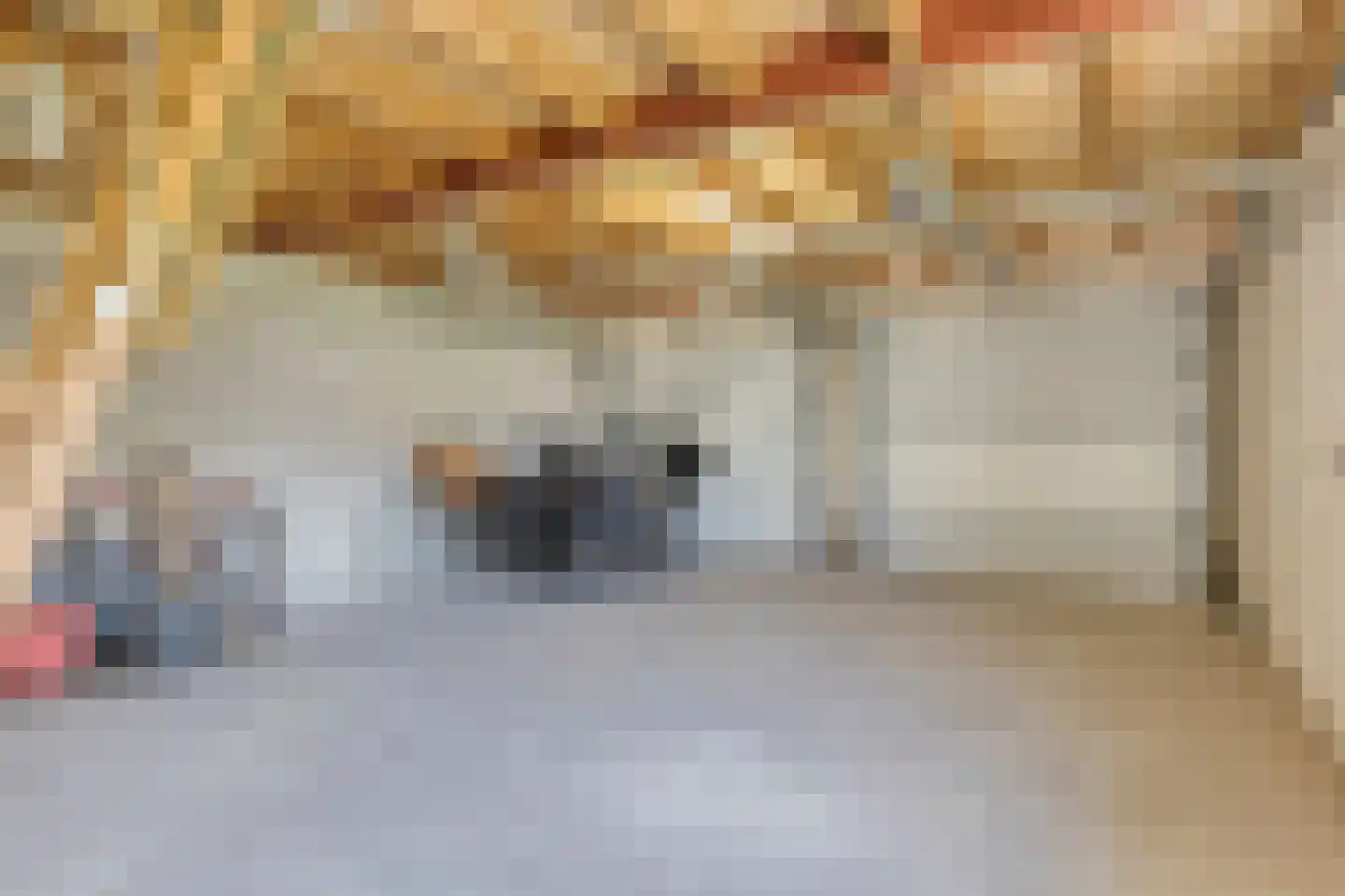 Drukkerij 11 Steenbergen thumbnail 53