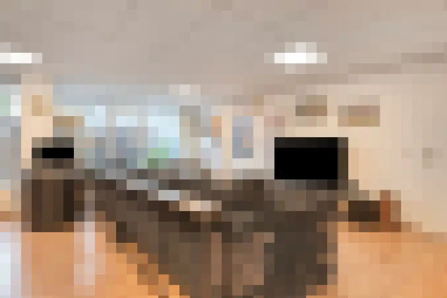 Drukkerij 11 Steenbergen thumbnail 67
