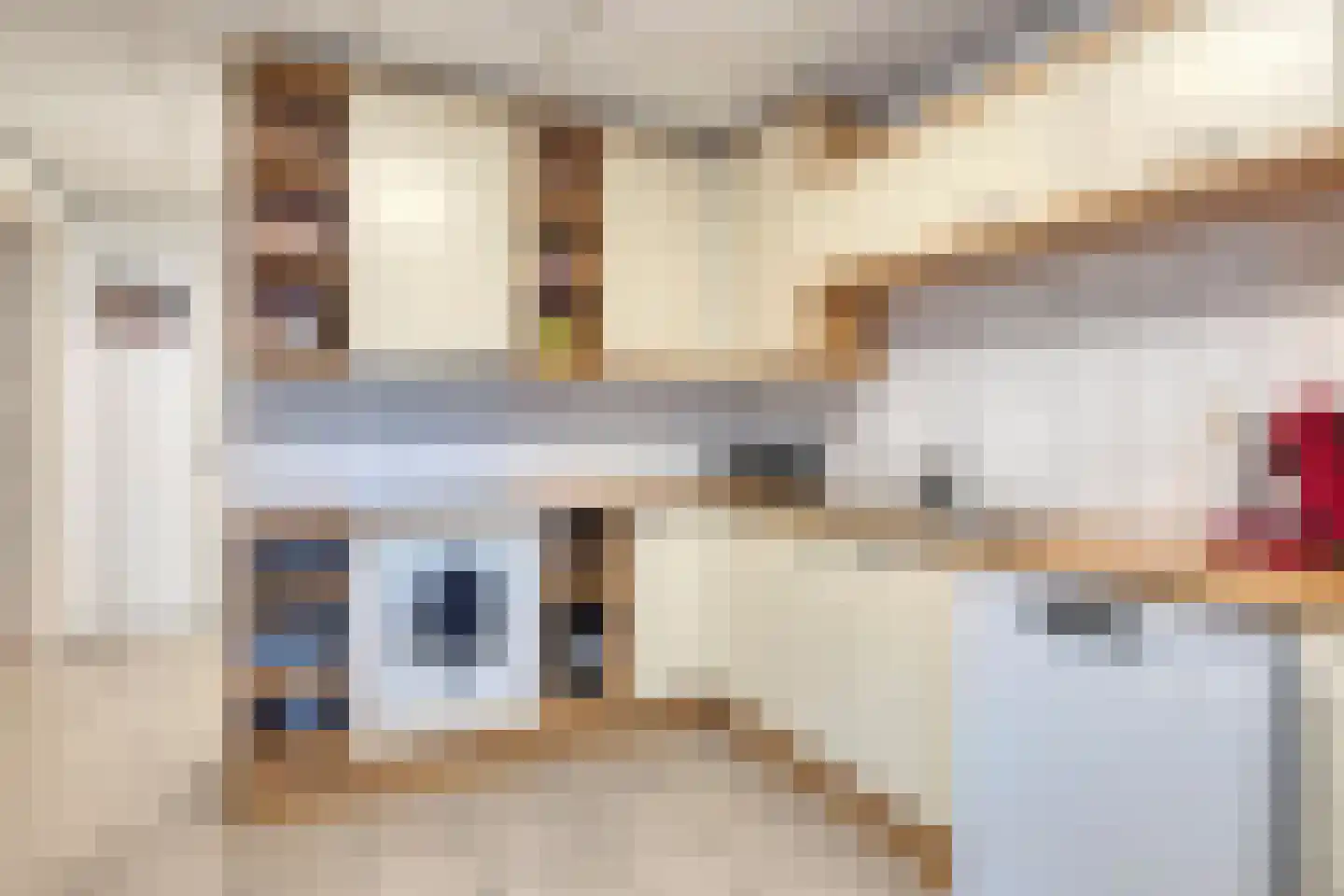 Drukkerij 11 Steenbergen thumbnail 69