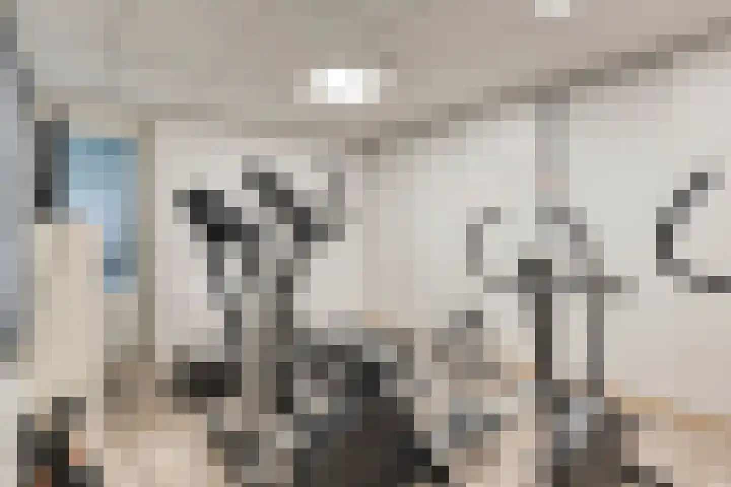 Drukkerij 11 Steenbergen thumbnail 71