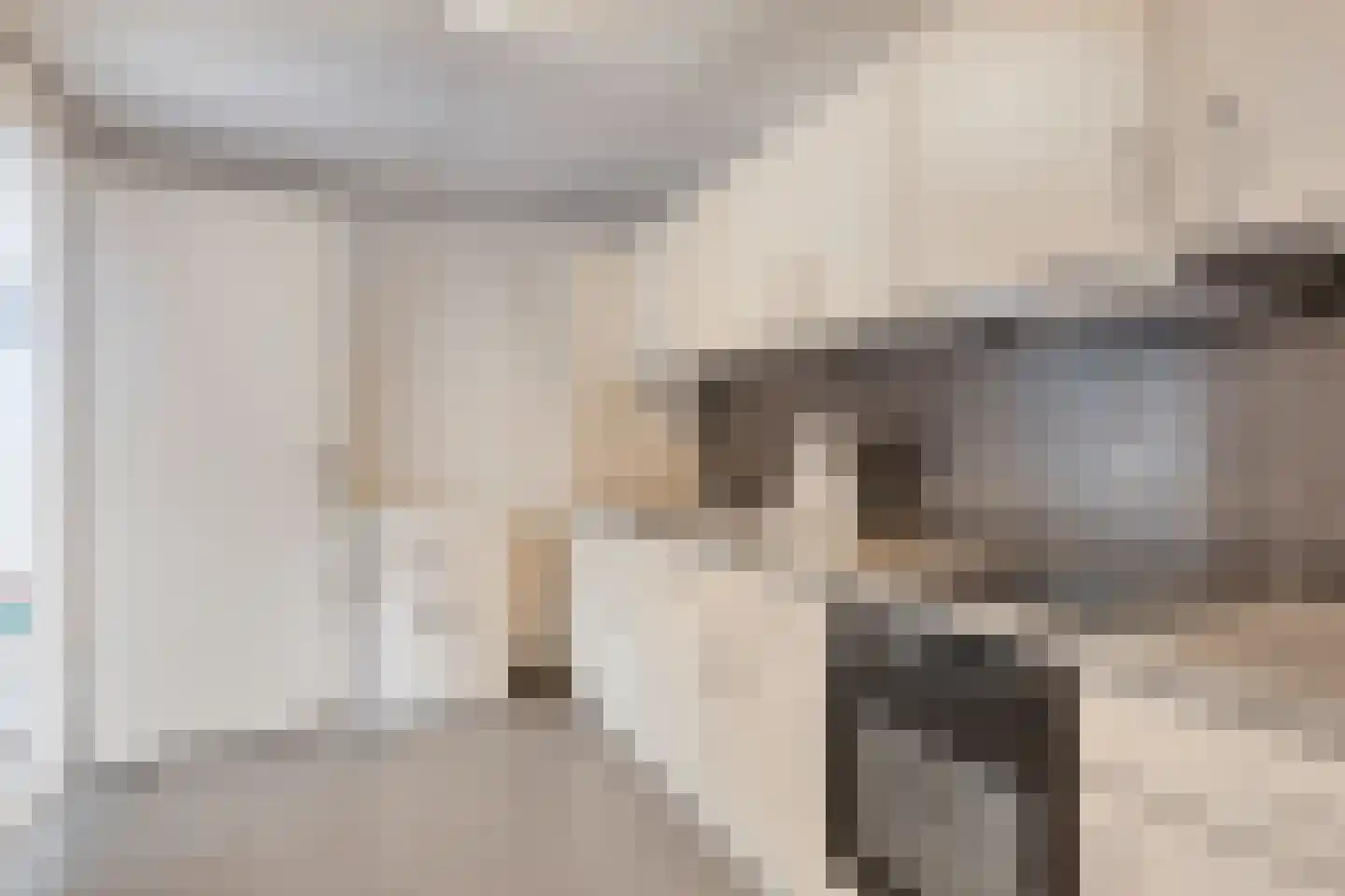 Drukkerij 11 Steenbergen thumbnail 72