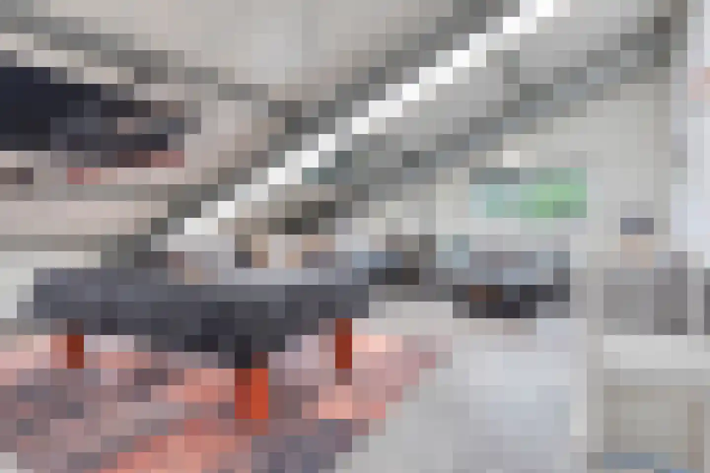 Drukkerij 11 Steenbergen thumbnail 73