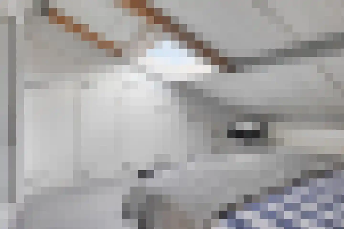 Drukkerij 11 Steenbergen thumbnail 75
