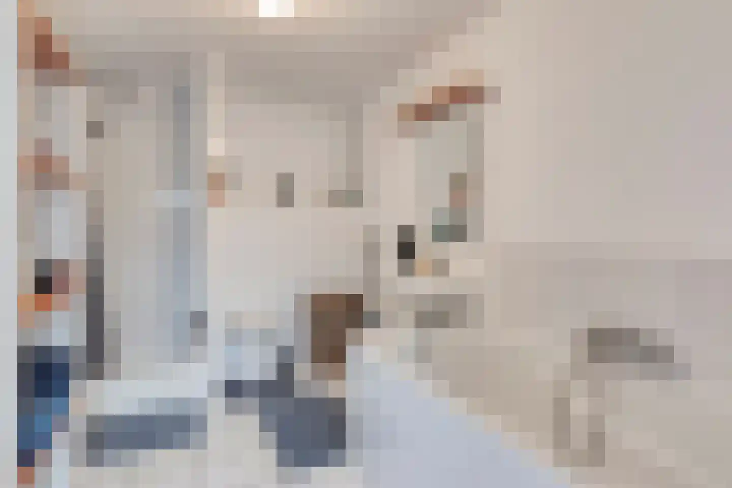 Drukkerij 11 Steenbergen thumbnail 76
