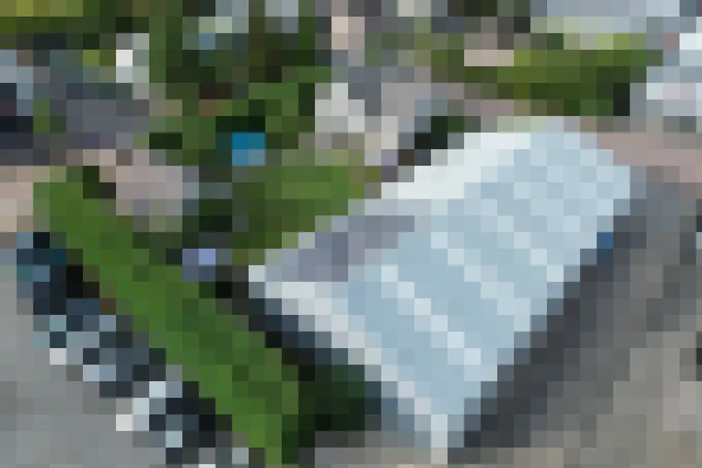 Drukkerij 11 Steenbergen thumbnail 77
