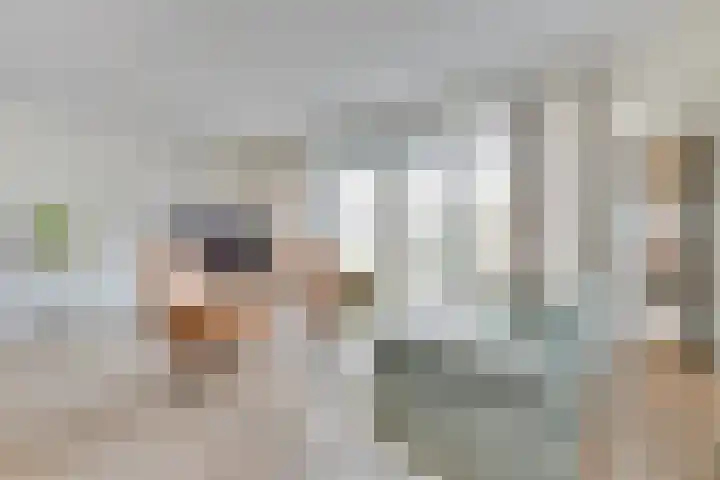 Drukkerij 17 Schagen thumbnail 11