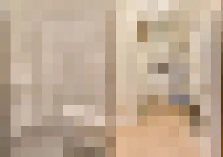 Drukkerij 17 Schagen thumbnail 27