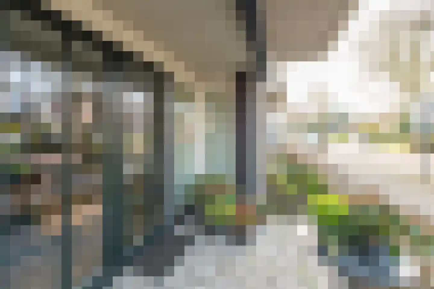 Drukkerij 17 Schagen thumbnail 31